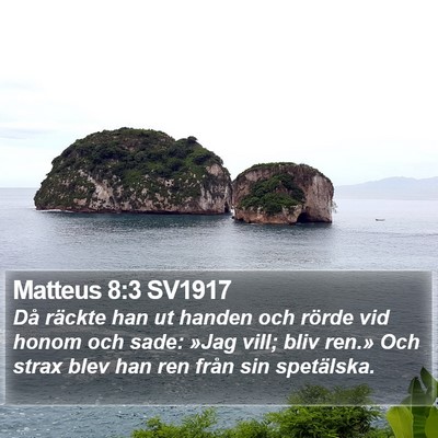 Matteus 8:3 SV1917 Bible Verse Image