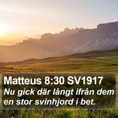 Matteus 8:30 SV1917 Bible Verse Image