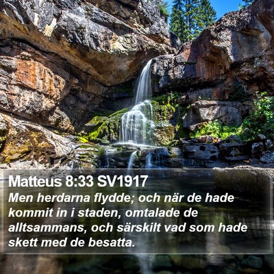 Matteus 8:33 SV1917 Bible Verse Image