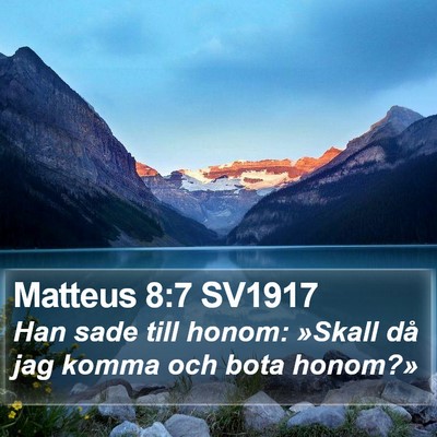 Matteus 8:7 SV1917 Bible Verse Image