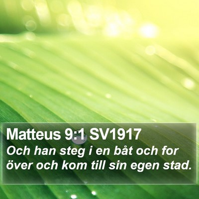 Matteus 9:1 SV1917 Bible Verse Image