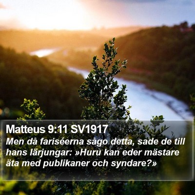 Matteus 9:11 SV1917 Bible Verse Image