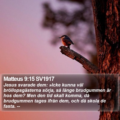 Matteus 9:15 SV1917 Bible Verse Image