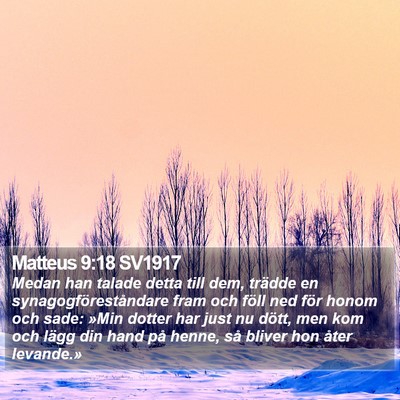 Matteus 9:18 SV1917 Bible Verse Image