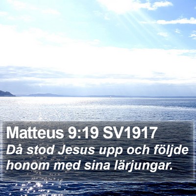 Matteus 9:19 SV1917 Bible Verse Image