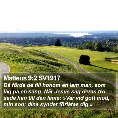 Matteus 9:2 SV1917 Bible Verse Image