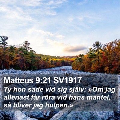 Matteus 9:21 SV1917 Bible Verse Image