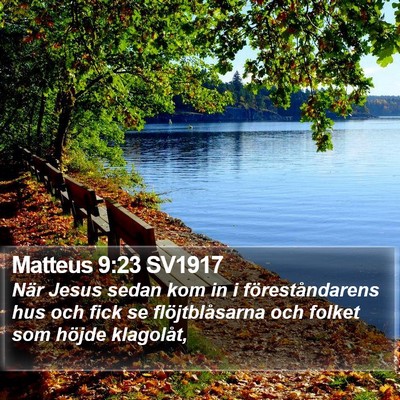 Matteus 9:23 SV1917 Bible Verse Image