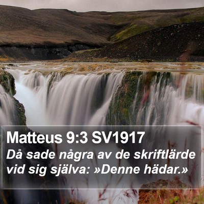 Matteus 9:3 SV1917 Bible Verse Image