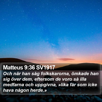 Matteus 9:36 SV1917 Bible Verse Image