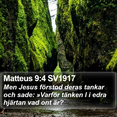 Matteus 9:4 SV1917 Bible Verse Image