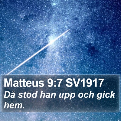 Matteus 9:7 SV1917 Bible Verse Image