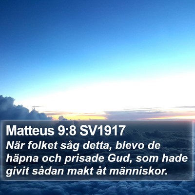 Matteus 9:8 SV1917 Bible Verse Image