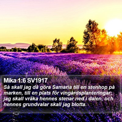 Mika 1:6 SV1917 Bible Verse Image