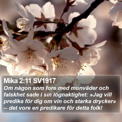 Mika 2:11 SV1917 Bible Verse Image