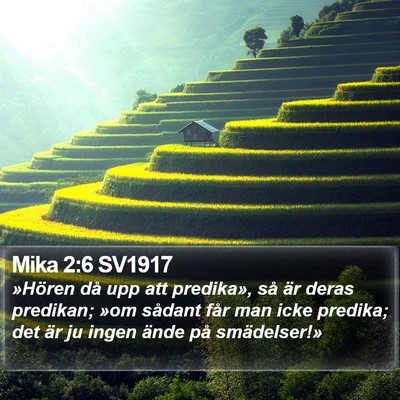 Mika 2:6 SV1917 Bible Verse Image
