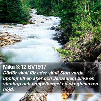 Mika 3:12 SV1917 Bible Verse Image