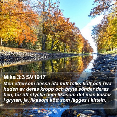 Mika 3:3 SV1917 Bible Verse Image