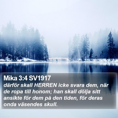 Mika 3:4 SV1917 Bible Verse Image