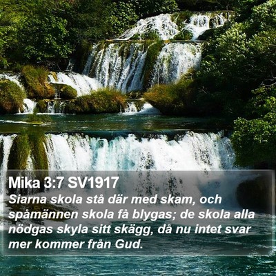 Mika 3:7 SV1917 Bible Verse Image