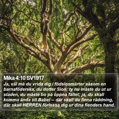 Mika 4:10 SV1917 Bible Verse Image