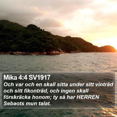 Mika 4:4 SV1917 Bible Verse Image