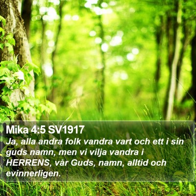 Mika 4:5 SV1917 Bible Verse Image