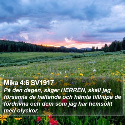 Mika 4:6 SV1917 Bible Verse Image