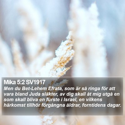 Mika 5:2 SV1917 Bible Verse Image