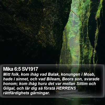 Mika 6:5 SV1917 Bible Verse Image