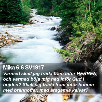 Mika 6:6 SV1917 Bible Verse Image