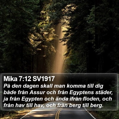 Mika 7:12 SV1917 Bible Verse Image