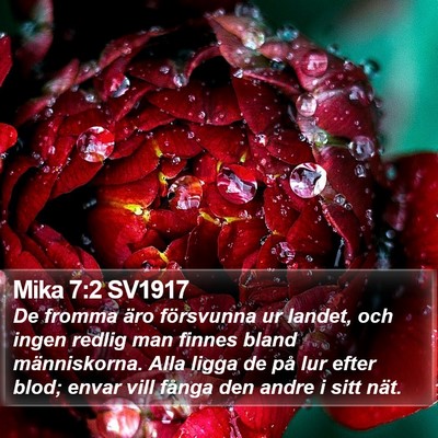 Mika 7:2 SV1917 Bible Verse Image