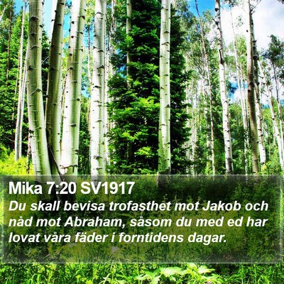 Mika 7:20 SV1917 Bible Verse Image