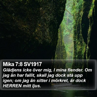 Mika 7:8 SV1917 Bible Verse Image