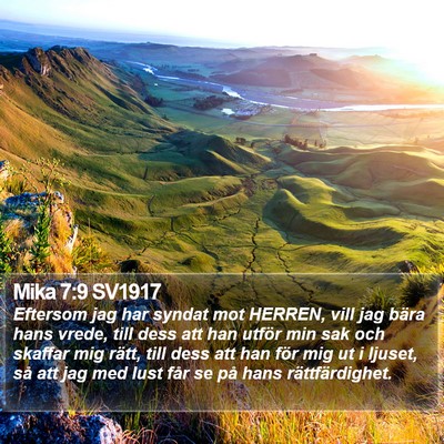 Mika 7:9 SV1917 Bible Verse Image