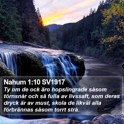 Nahum 1:10 SV1917 Bible Verse Image