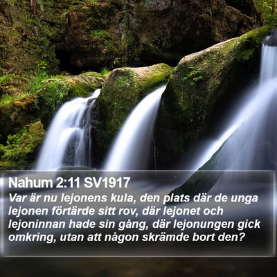 Nahum 2:11 SV1917 Bible Verse Image