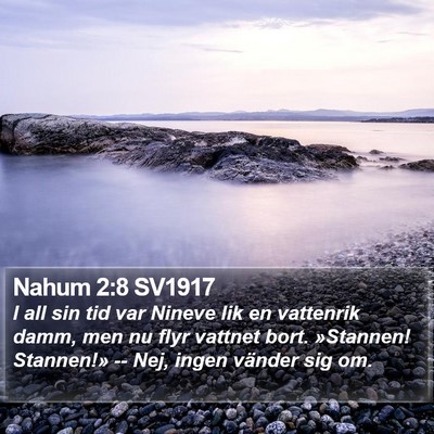 Nahum 2:8 SV1917 Bible Verse Image