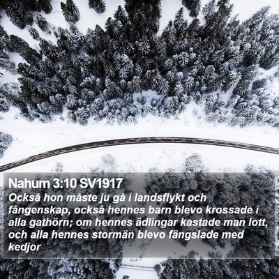 Nahum 3:10 SV1917 Bible Verse Image