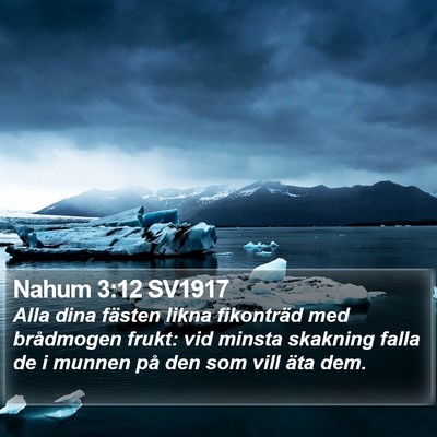 Nahum 3:12 SV1917 Bible Verse Image