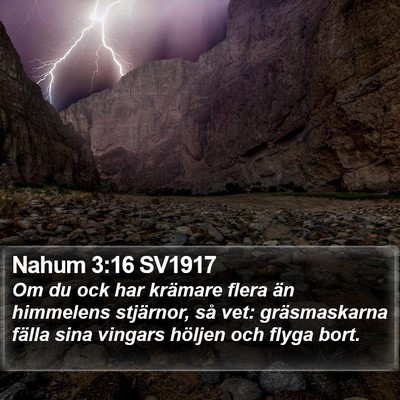 Nahum 3:16 SV1917 Bible Verse Image