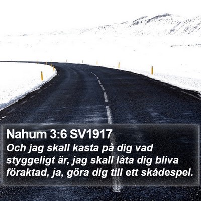 Nahum 3:6 SV1917 Bible Verse Image