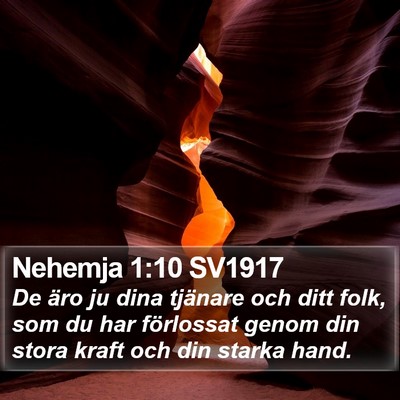Nehemja 1:10 SV1917 Bible Verse Image