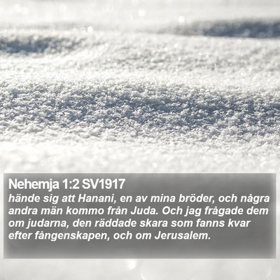 Nehemja 1:2 SV1917 Bible Verse Image