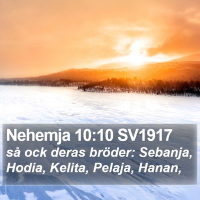 Nehemja 10:10 SV1917 Bible Verse Image