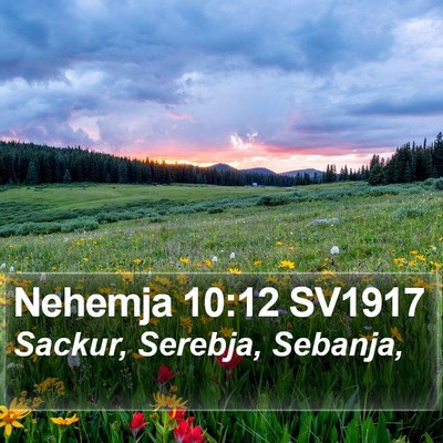 Nehemja 10:12 SV1917 Bible Verse Image