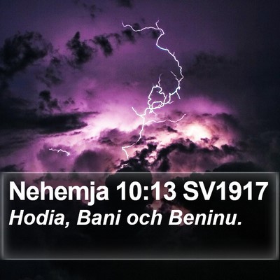Nehemja 10:13 SV1917 Bible Verse Image