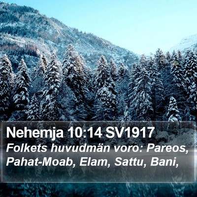 Nehemja 10:14 SV1917 Bible Verse Image