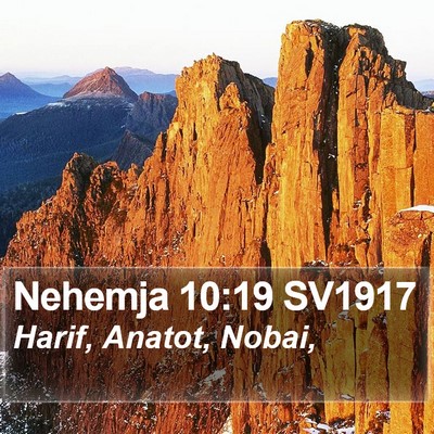 Nehemja 10:19 SV1917 Bible Verse Image